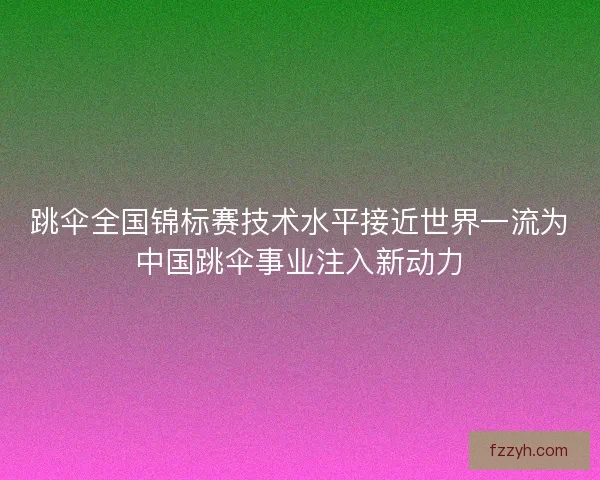 跳伞全国锦标赛技术水平接近世界一流为中国跳伞事业注入新动力